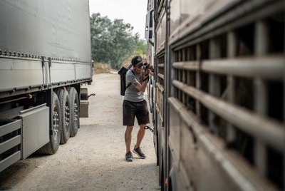 Aktivista dokumentuje zvířata v transportu na odpočívadle v Turecku - Nevinné oběti